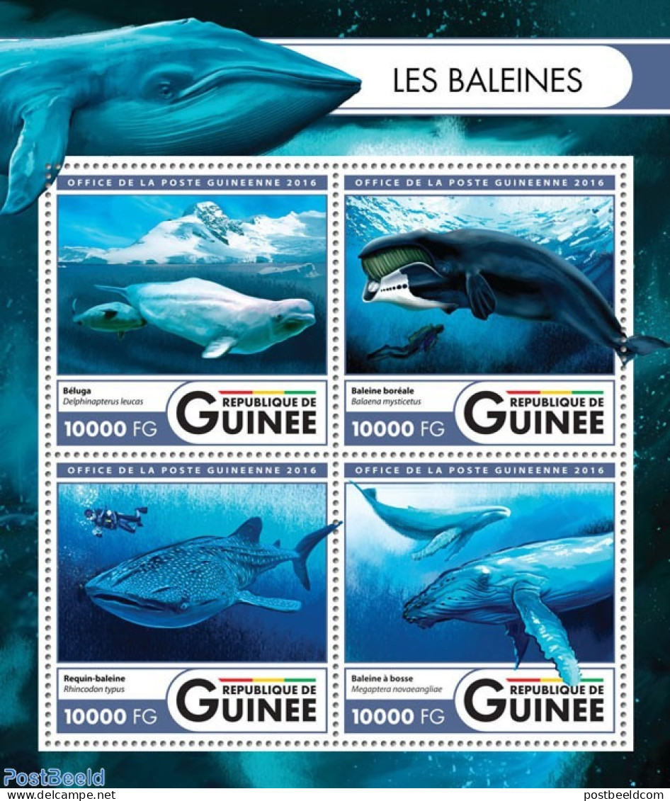 Guinea, Republic 2016 Whales, Mint NH, Nature - Sea Mammals - Otros & Sin Clasificación