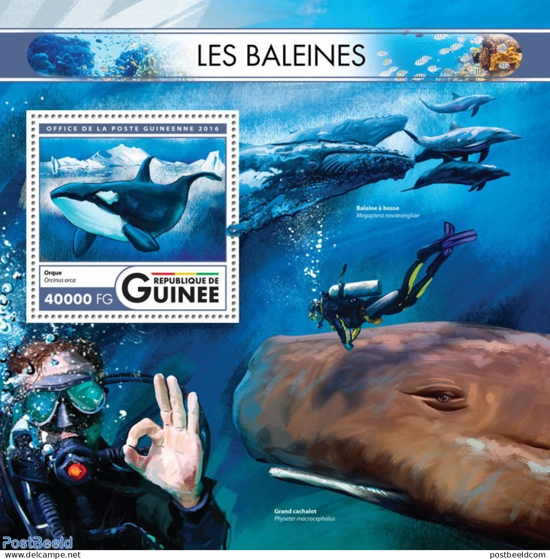 Guinea, Republic 2016 Whales, Mint NH, Nature - Sea Mammals - Otros & Sin Clasificación