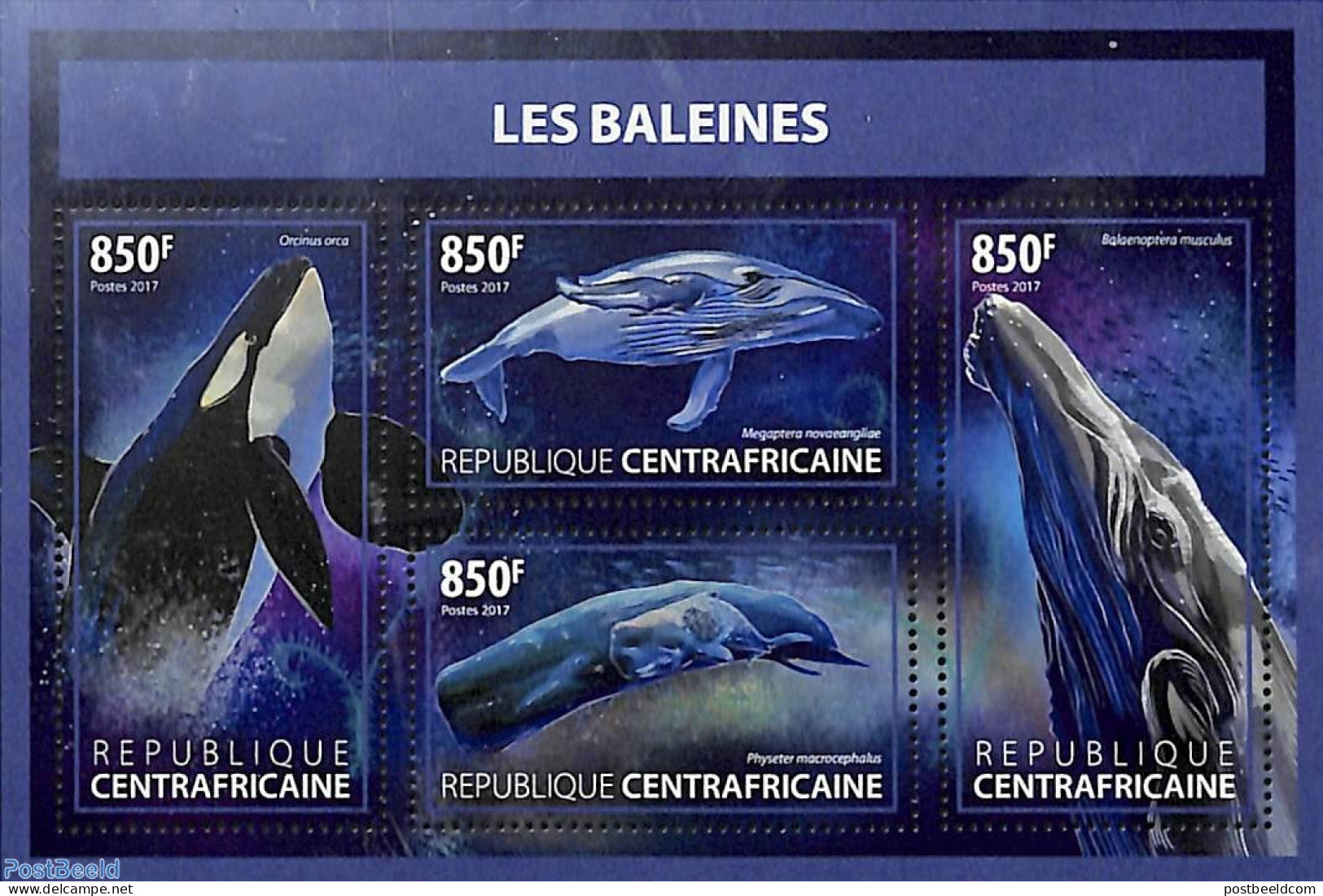 Central Africa 2017 Whales 4v M/s, Mint NH, Nature - Sea Mammals - Central African Republic