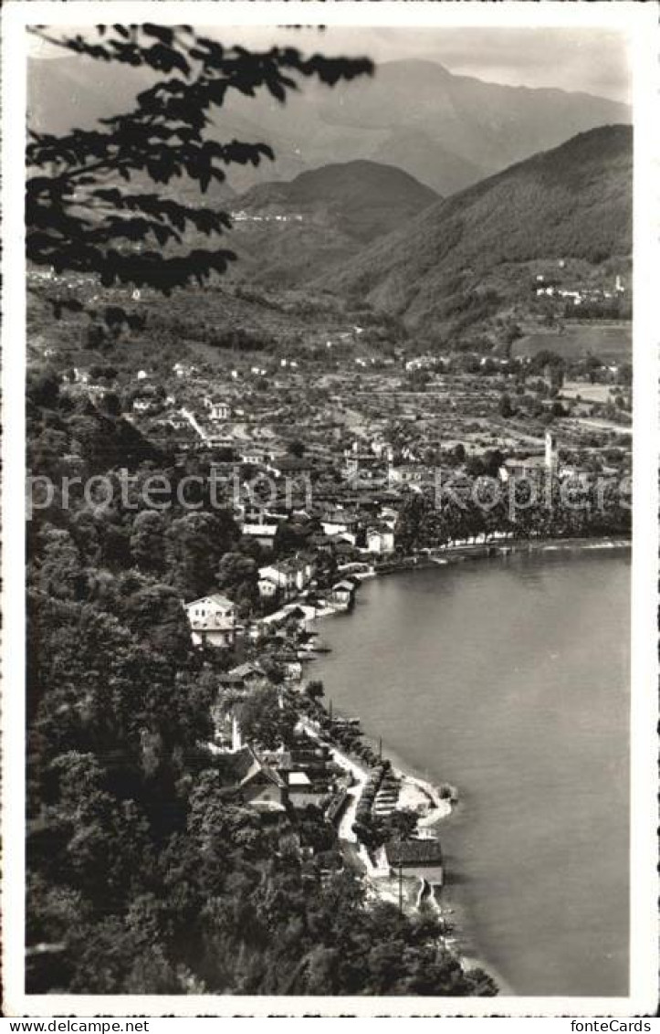 12586401 Caslano Lago Di Lugano Panorama Luganersee Caslano - Andere & Zonder Classificatie