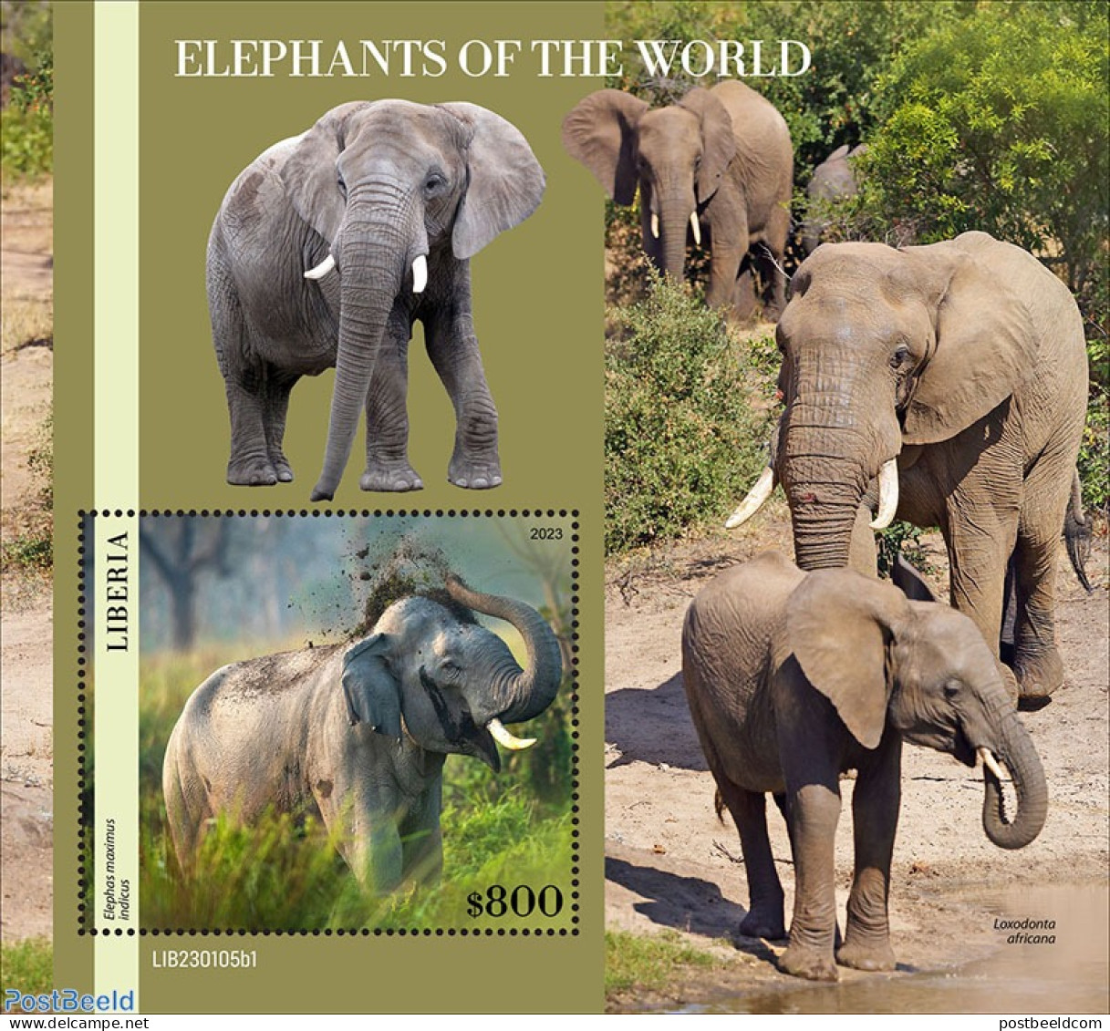 Liberia 2023 Elephants, Mint NH, Nature - Elephants - Sonstige & Ohne Zuordnung