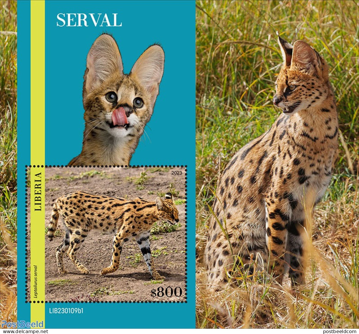 Liberia 2023 Serval, Mint NH, Nature - Cat Family - Sonstige & Ohne Zuordnung