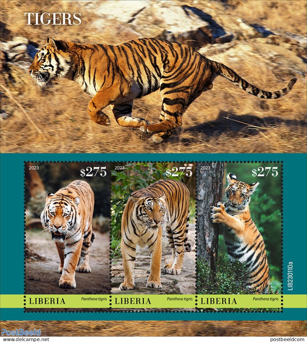 Liberia 2023 Tigers, Mint NH, Nature - Cat Family - Autres & Non Classés