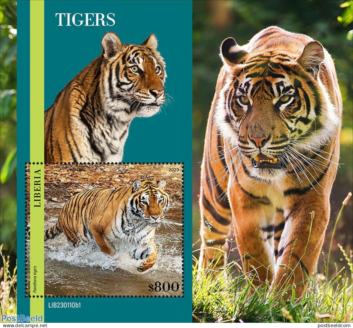 Liberia 2023 Tigers, Mint NH, Nature - Cat Family - Altri & Non Classificati