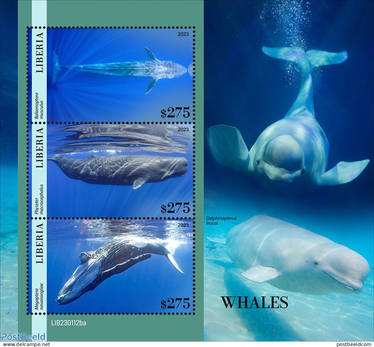 Liberia 2023 Whales, Mint NH, Nature - Sea Mammals - Autres & Non Classés
