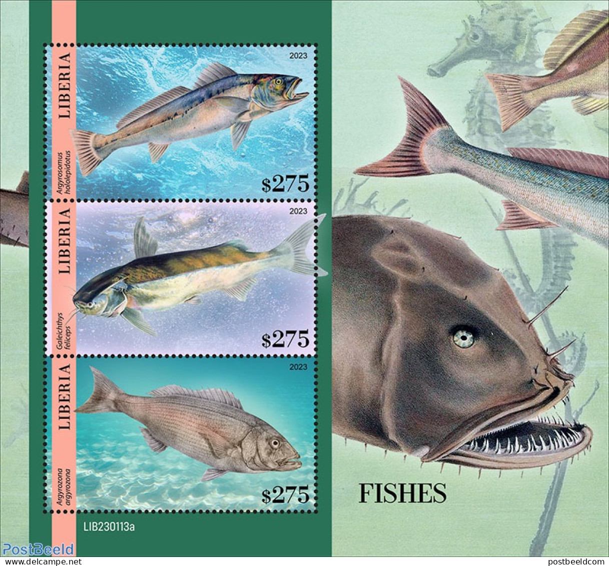 Liberia 2023 Fishes, Mint NH, Nature - Fish - Fishes