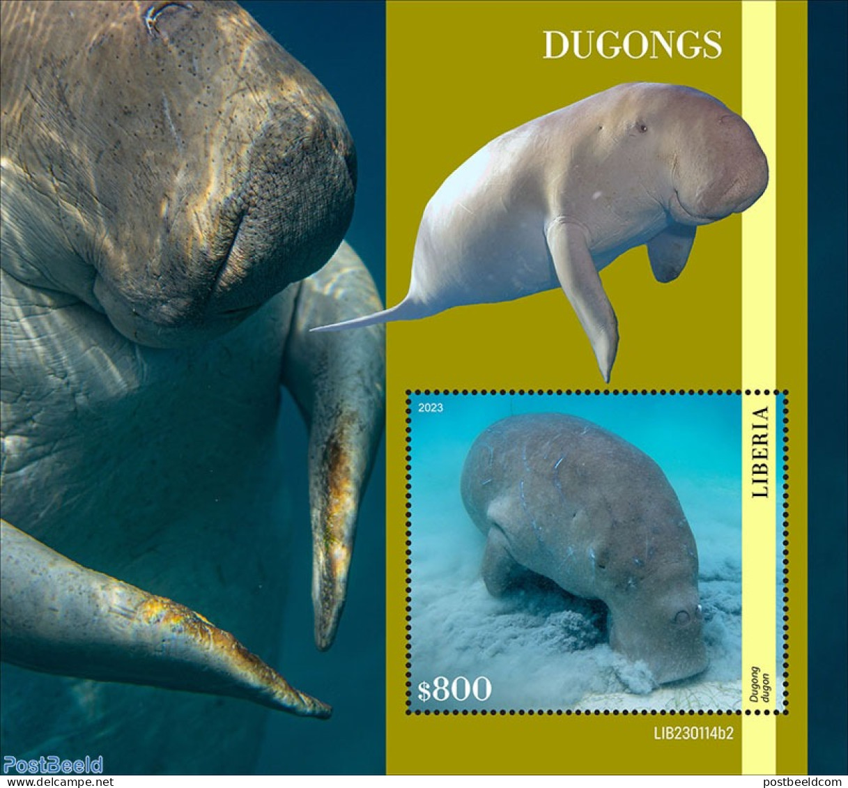 Liberia 2023 Dugongs, Mint NH, Nature - Sea Mammals - Sonstige & Ohne Zuordnung