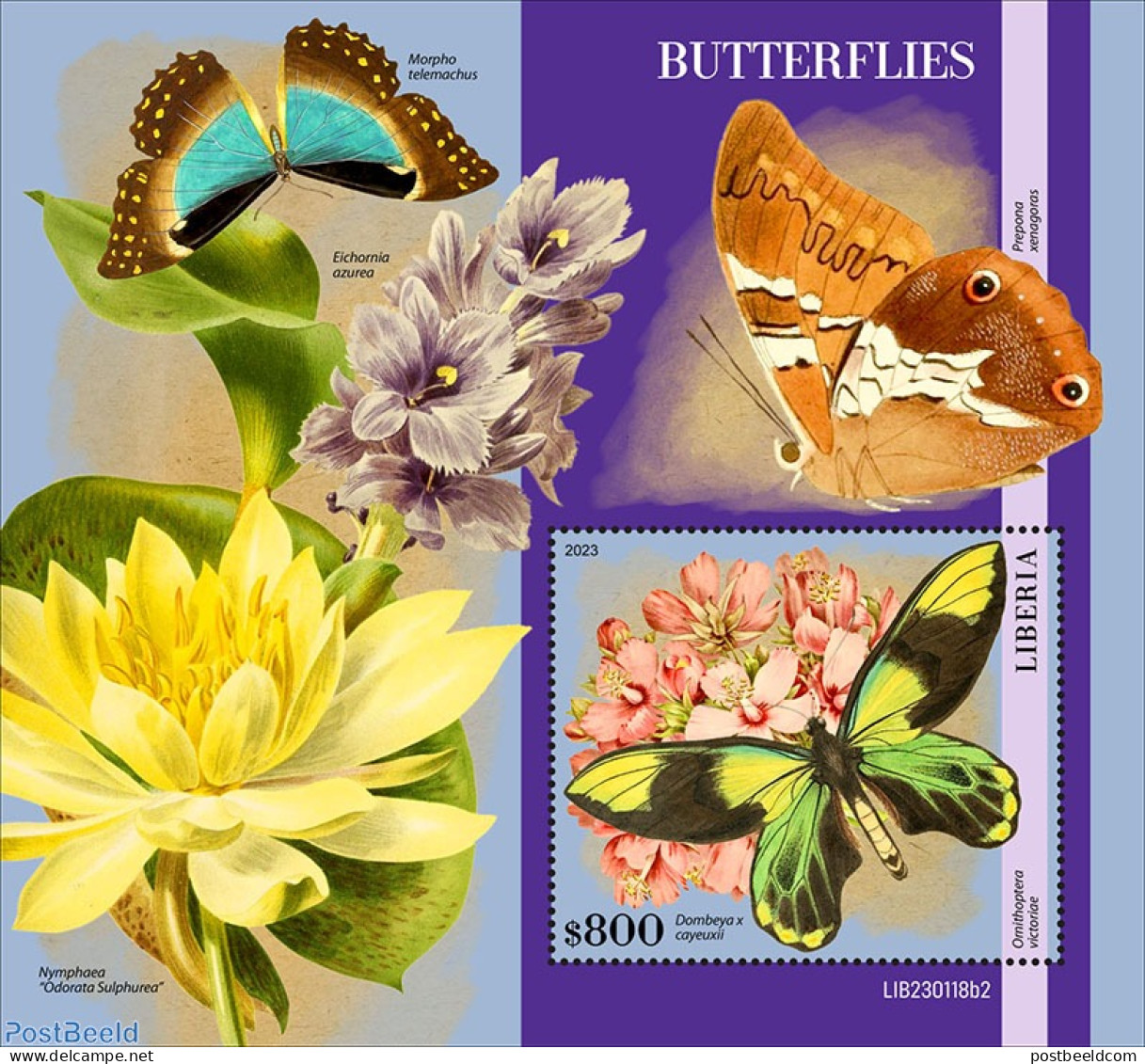 Liberia 2023 Butterflies, Mint NH, Nature - Butterflies - Flowers & Plants - Altri & Non Classificati