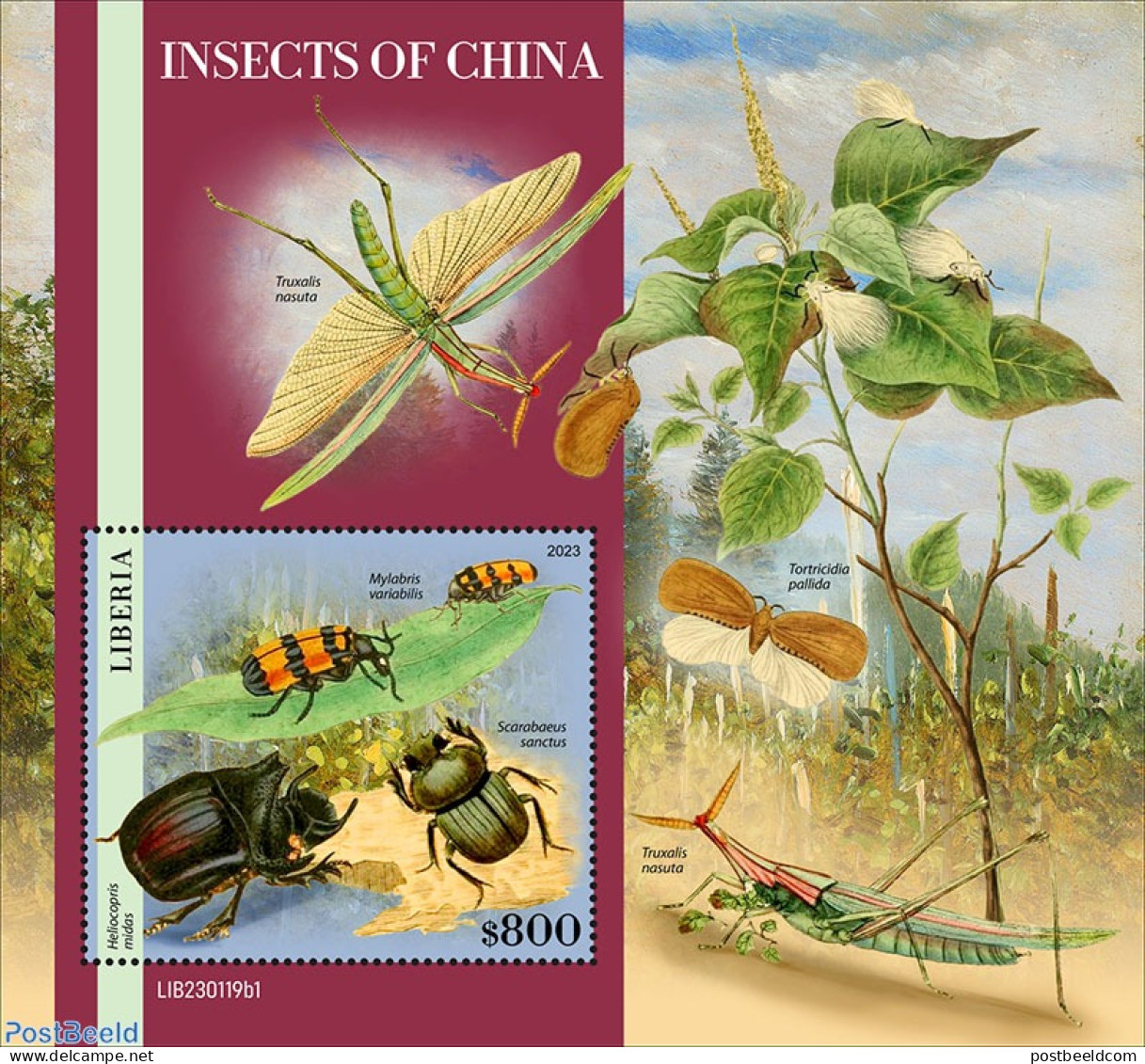 Liberia 2023 Insects Of China, Mint NH, Nature - Flowers & Plants - Insects - Sonstige & Ohne Zuordnung