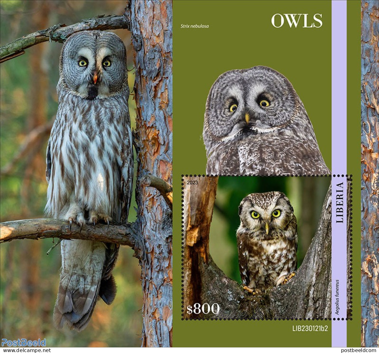 Liberia 2023 Owls, Mint NH, Nature - Birds - Birds Of Prey - Owls - Sonstige & Ohne Zuordnung