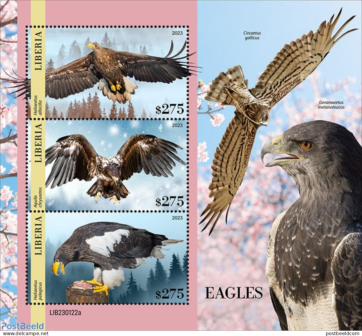 Liberia 2023 Eagles, Mint NH, Nature - Birds Of Prey - Other & Unclassified