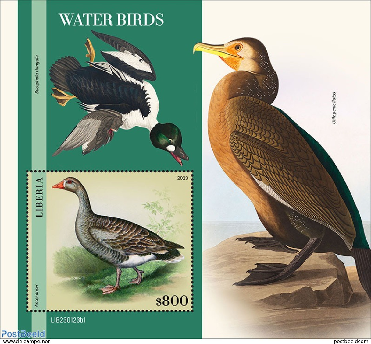 Liberia 2023 Waterbirds, Mint NH, Nature - Birds - Ducks - Other & Unclassified