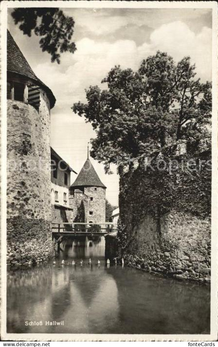 12586388 Hallwil Schloss Hallwil - Andere & Zonder Classificatie