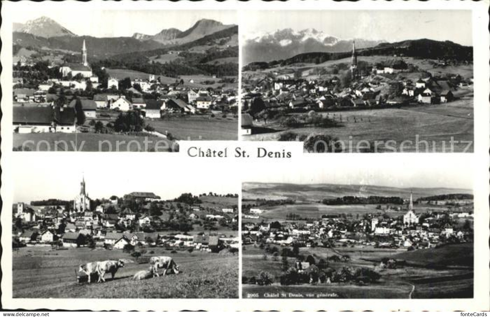 12586248 Chatel-St Denis Panorama Alpen Chatel-St Denis - Altri & Non Classificati