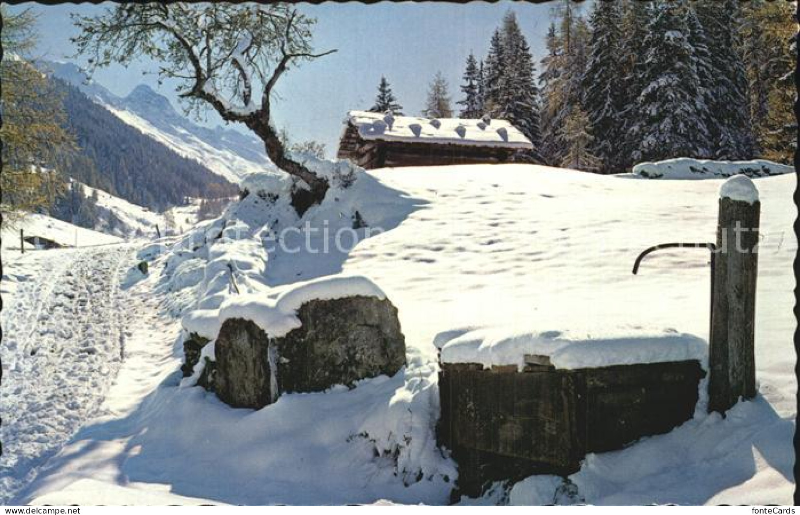 12585973 Davos Dischma GR Dischmatal Winter Davos - Andere & Zonder Classificatie