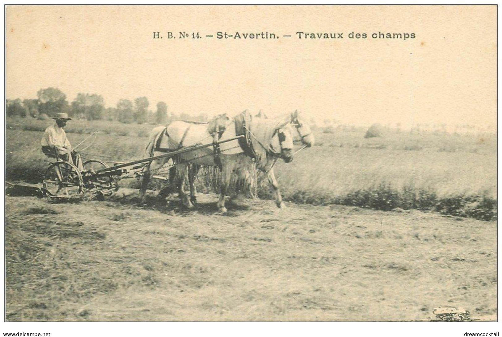 37 SAINT-AVERTIN. Travaux Des Champs. Le Labour Avec Chevaux - Saint-Avertin