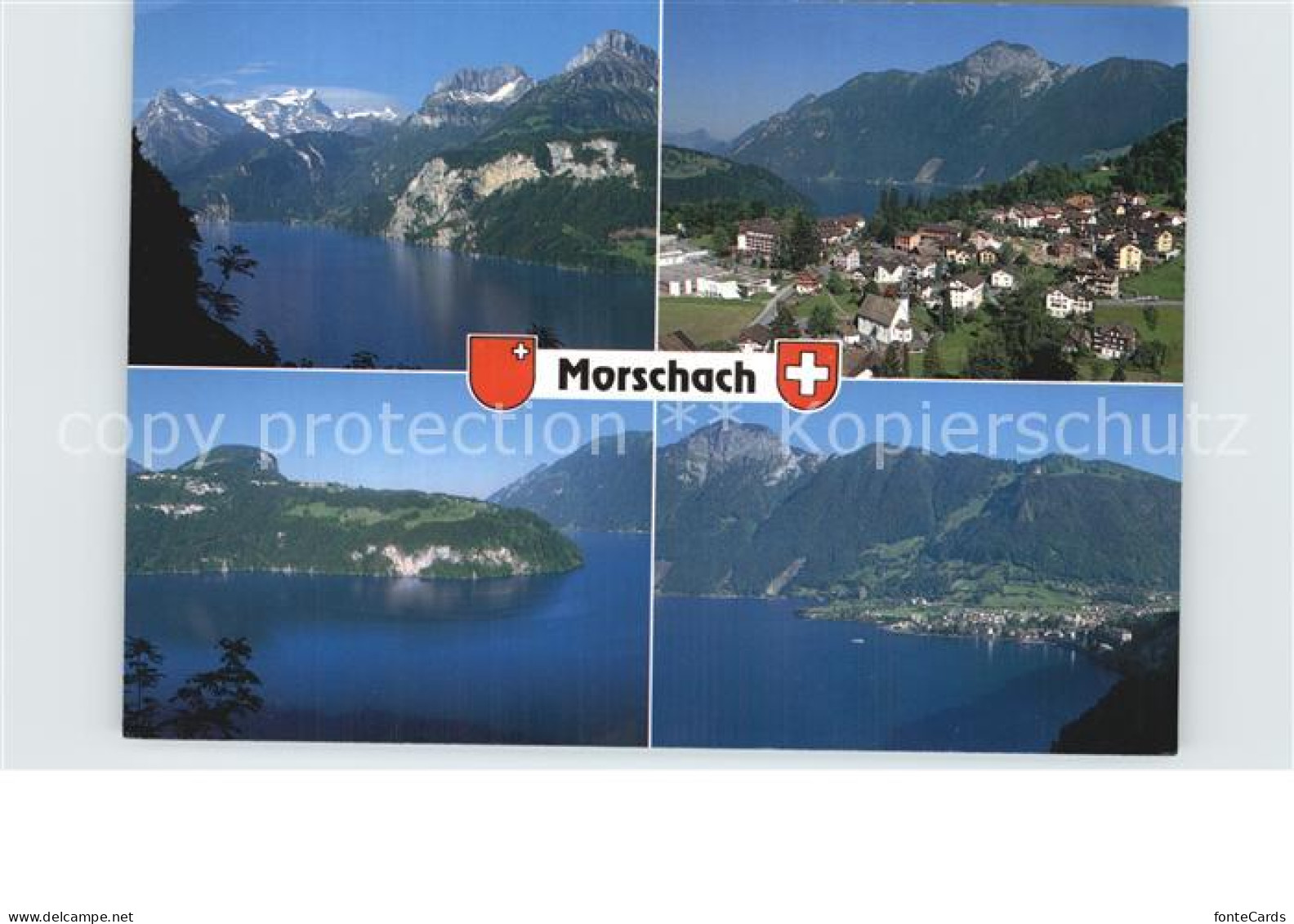 12582168 Morschach Alpenpanorama Vierwaldstaettersee Morschach - Sonstige & Ohne Zuordnung