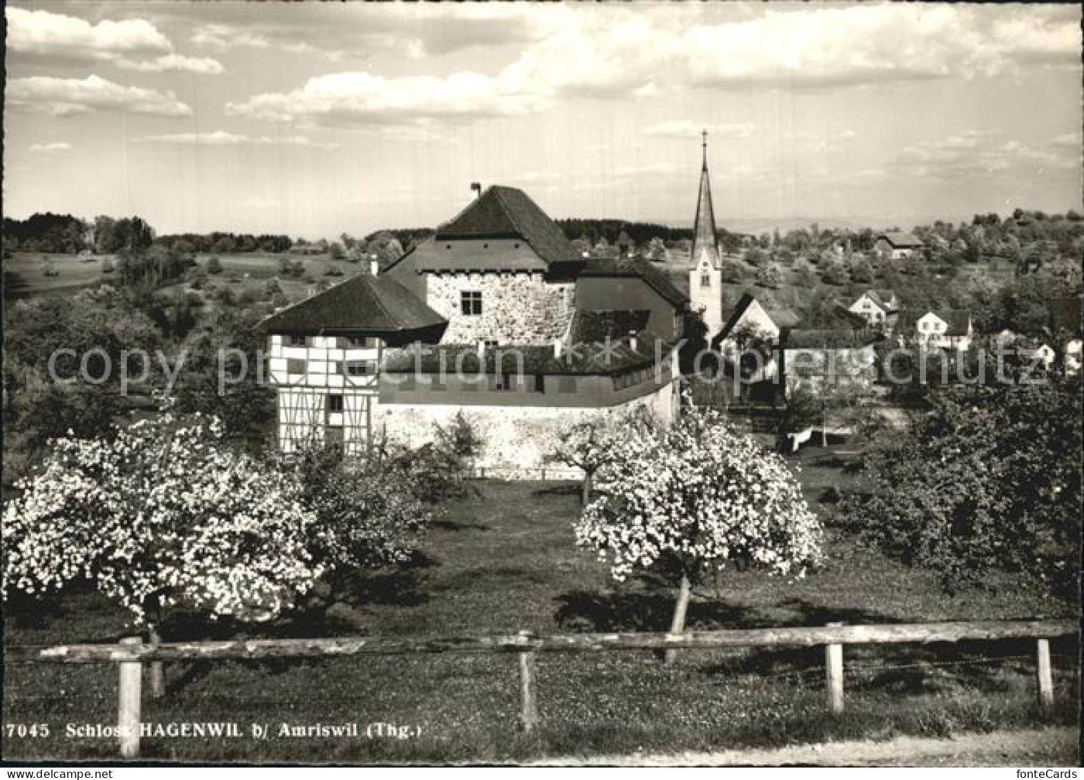 12578818 Amriswil TG Schloss Hagenwil Amriswil - Sonstige & Ohne Zuordnung