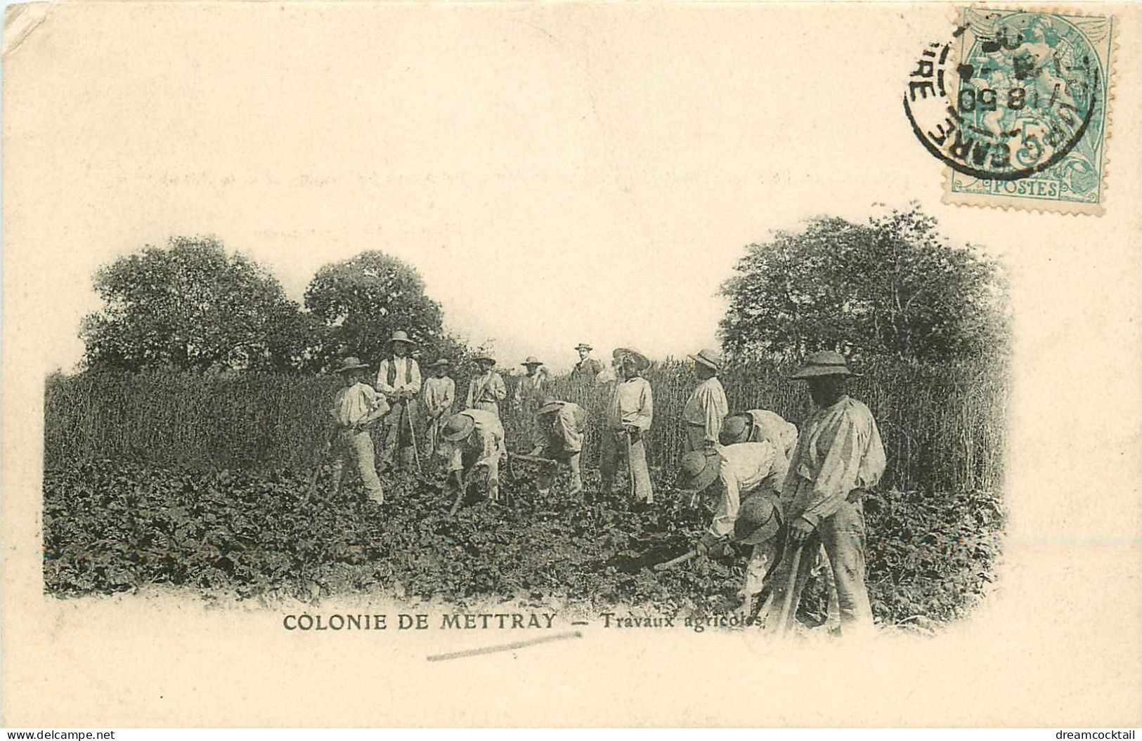 37 METTRAY. Travaux Agricoles à La Colonie Pénitentiaire 1905 - Mettray