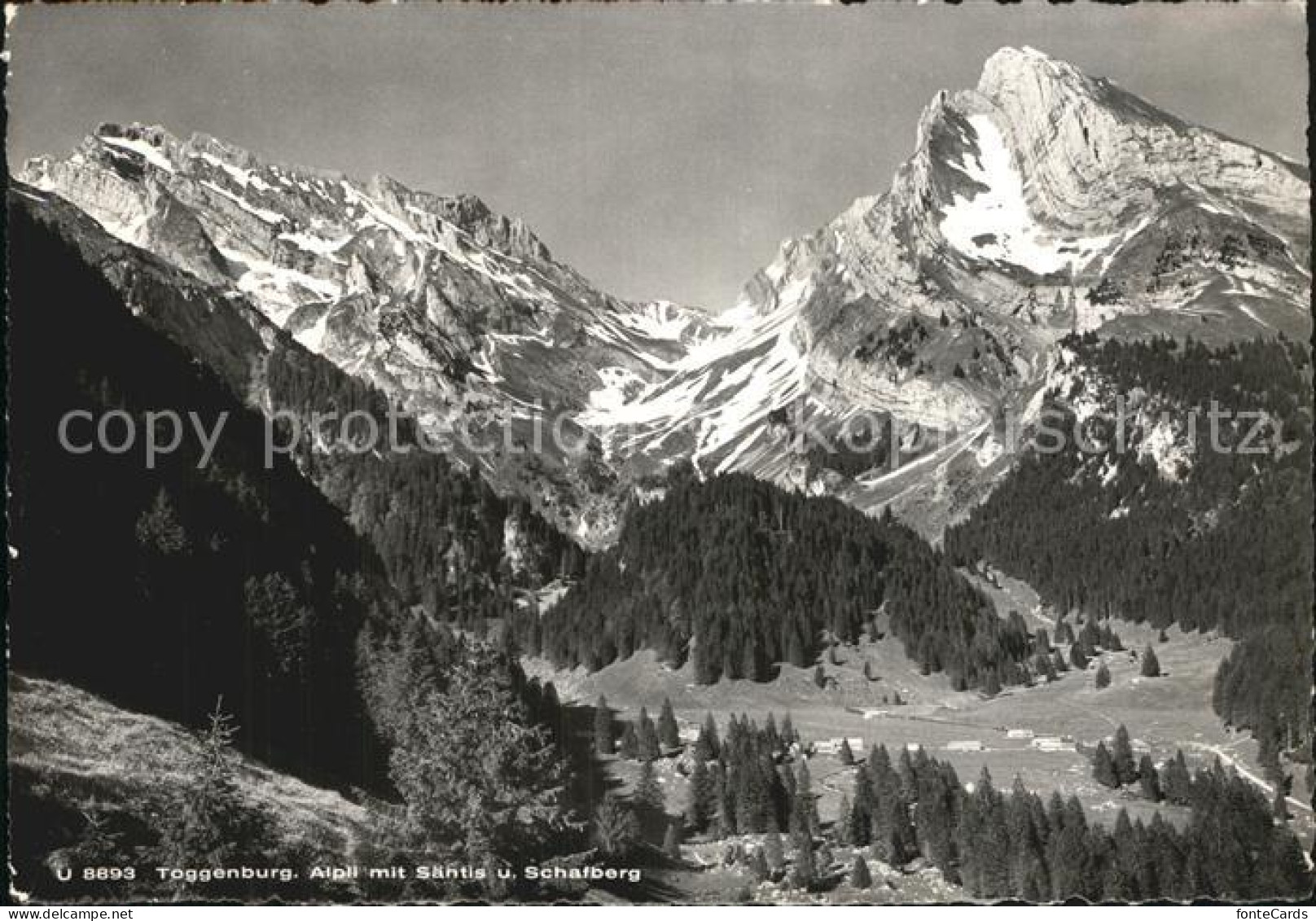 12578128 Toggenburg Saentis Schafberg Wildhaus - Andere & Zonder Classificatie