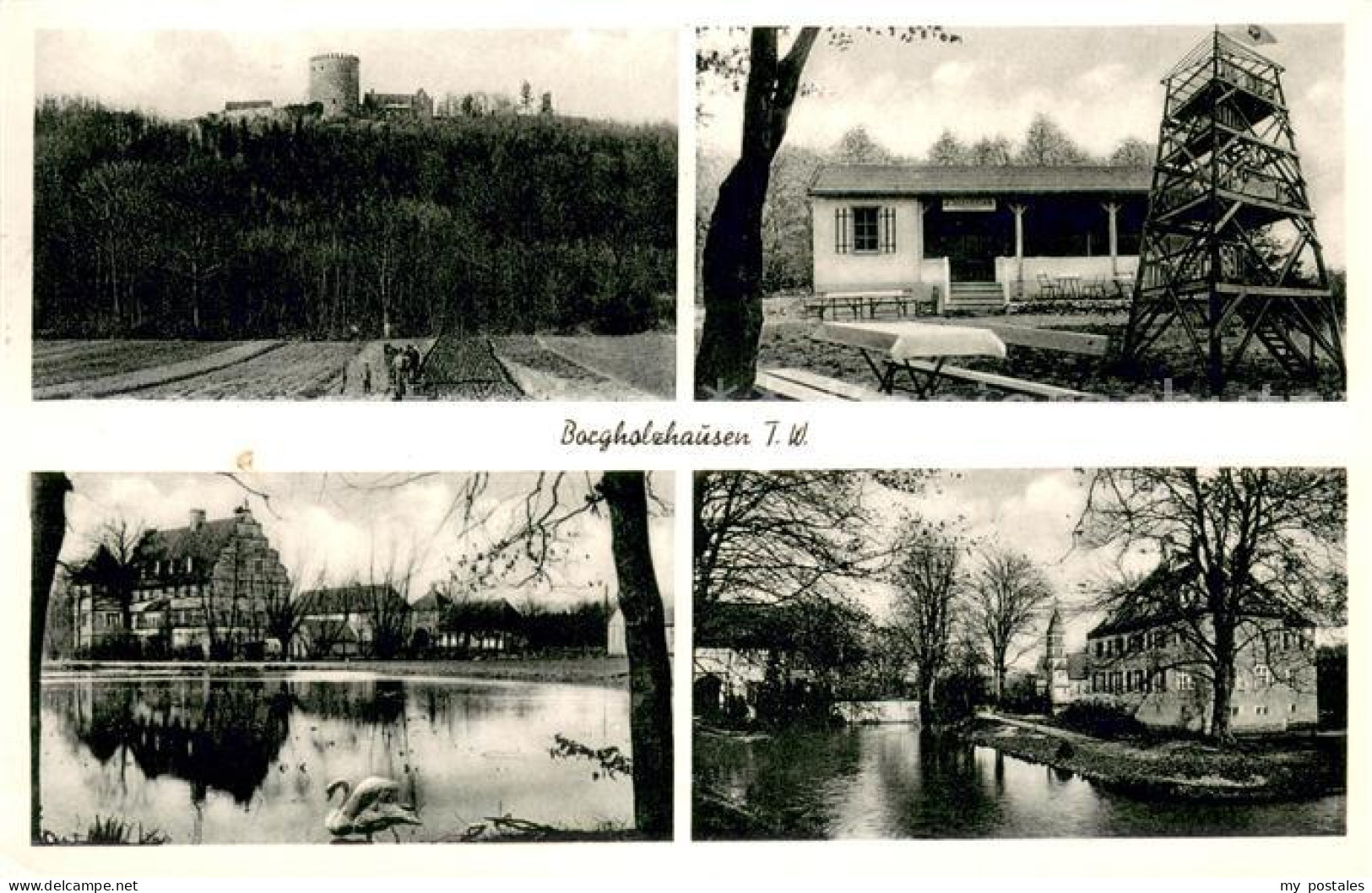 73750317 Borgholzhausen Burg Aussichtsturm Schwanenteich Jugendherberge Borgholz - Andere & Zonder Classificatie