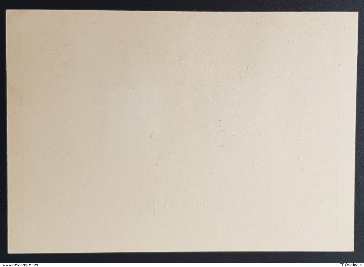 GERMANY THIRD 3rd REICH ORIGINAL  PROPAGANDA CARD THAKNS TO THE LIBERATOR - Guerra 1939-45