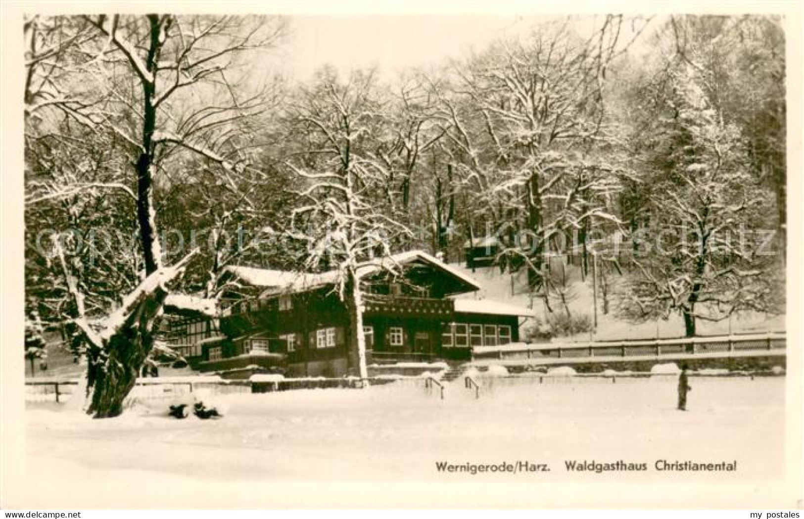 73750146 Wernigerode Harz Waldgasthaus Christianental Im Winter Wernigerode Harz - Wernigerode