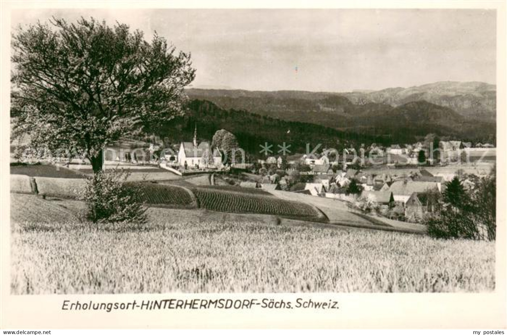 73750104 Hinterhermsdorf Panorama Erholungsort Saechsische Schweiz Hinterhermsdo - Sebnitz