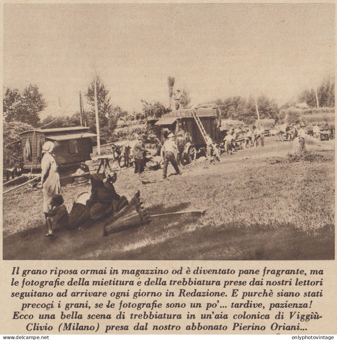 Viggiù Clivio - Trebbiatura In Aia Colonica Di Pierino Oriani 1934 Stampa - Stiche & Gravuren