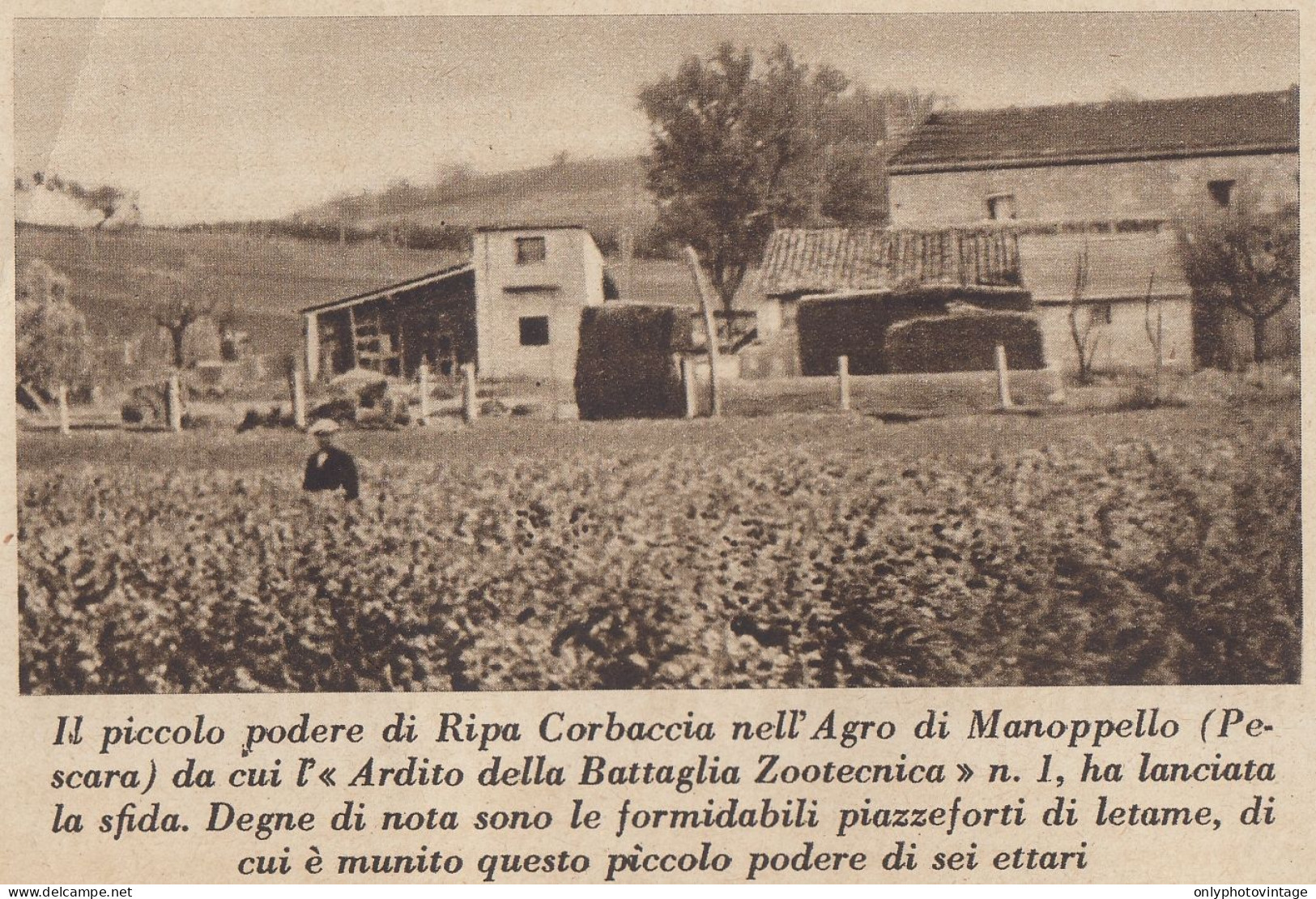 Podere Di Ripa Corbaccia Nell'Agro Di Manoppello (Pescara) - 1935 Stampa - Stiche & Gravuren