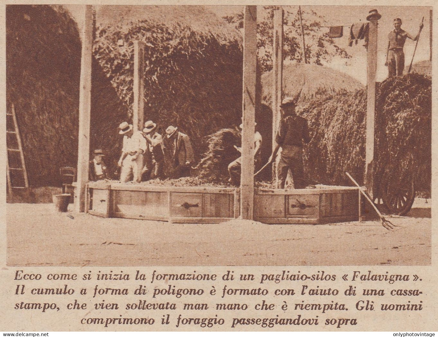 Formazione Di Un Pagliao-silos Falavigna - 1935 Stampa - Vintage Print - Prints & Engravings