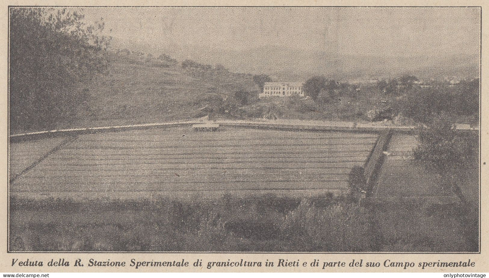 Veduta R. Stazione Sperimentale Di Granicoltura In Rieti - 1928 Stampa - Stiche & Gravuren