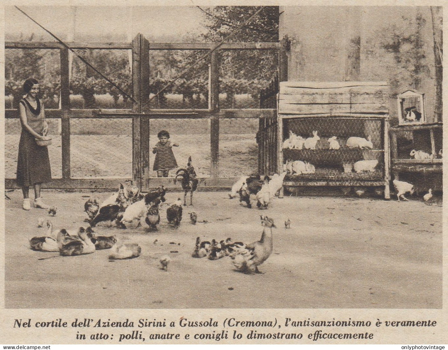 Nel Cortile Dell'Azienda Sirini A Gussola (Cremona) - 1936 Stampa - Print - Stiche & Gravuren