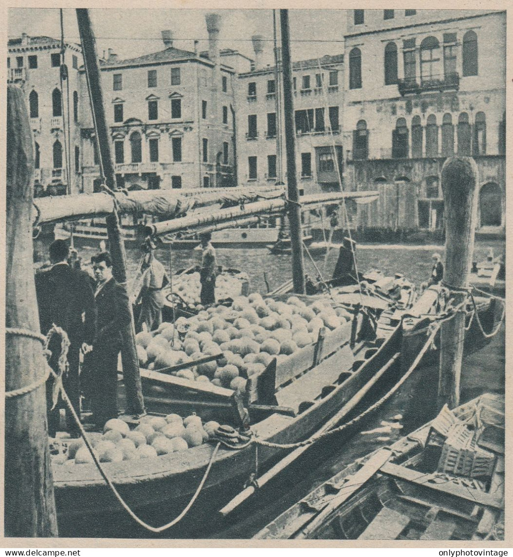 Carichi Cocomeri Al Mercato Di Venezia Da Orti Di Chioggia - 1938 Stampa - Stiche & Gravuren