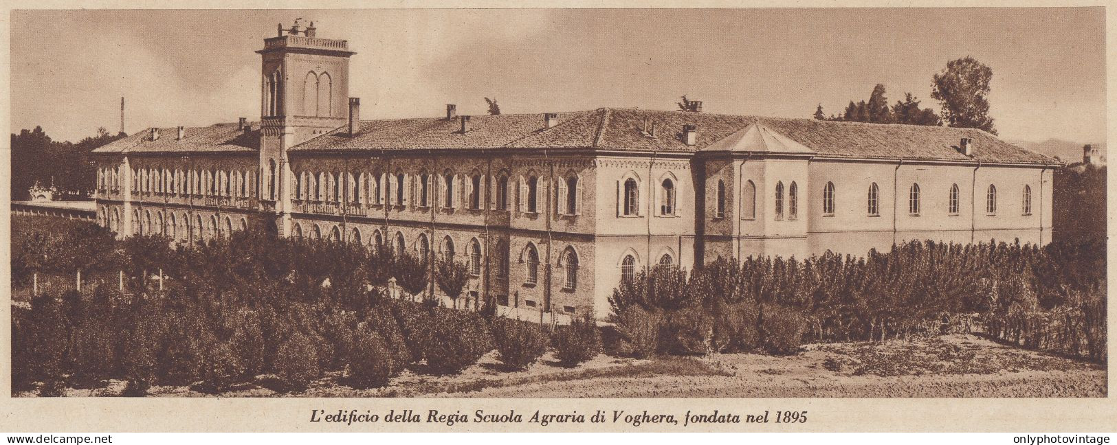 Voghera - Edificio Della Regia Scuola Agraria - 1935 Stampa - Old Print - Stiche & Gravuren