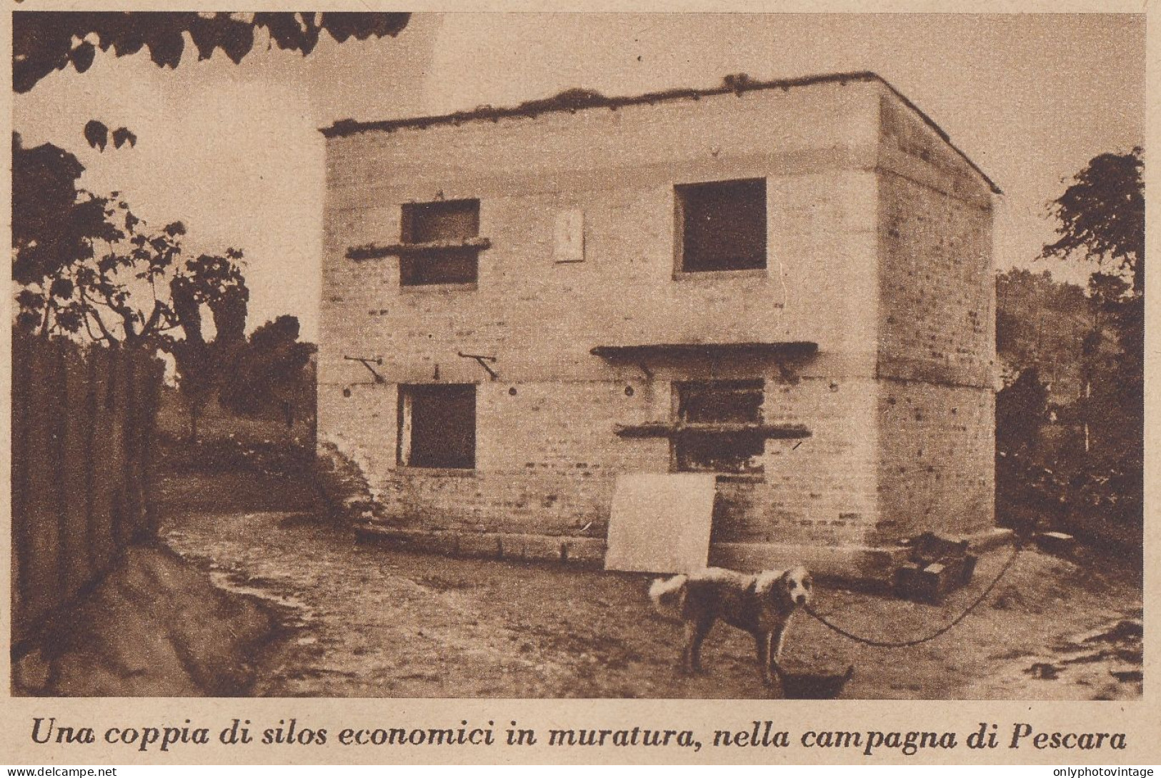 Coppia Di Silos In Muratura Nella Campagna Di Pescara - 1934 Stampa Epoca - Prints & Engravings