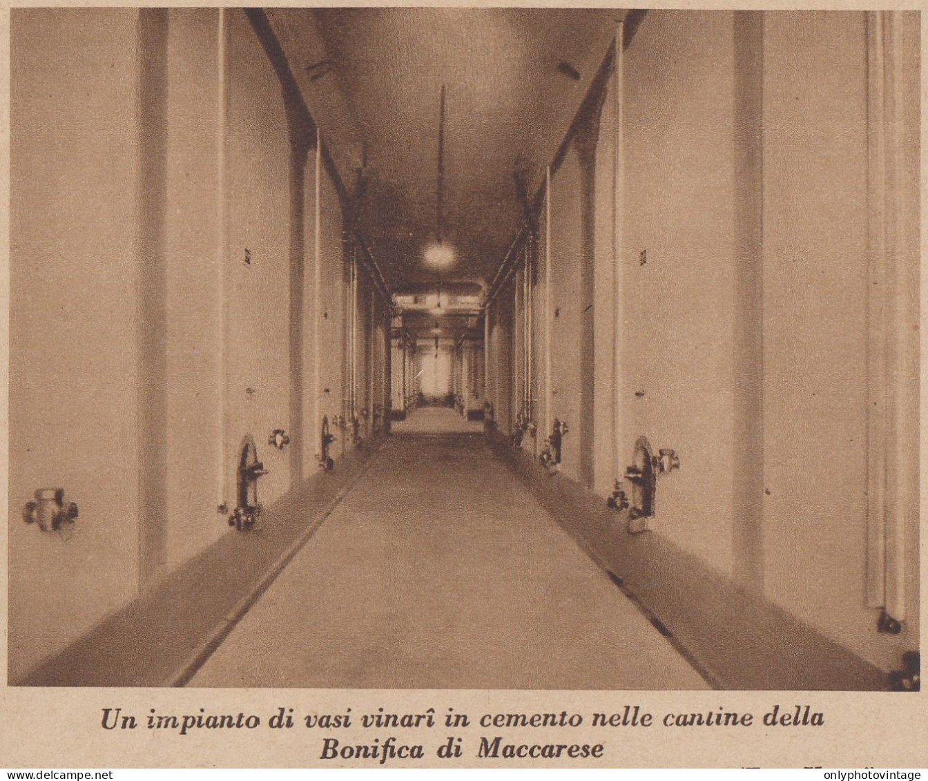 Vasi Vinari Nelle Cantine Della Bonifica Di Maccarese - 1934 Stampa Epoca - Stiche & Gravuren