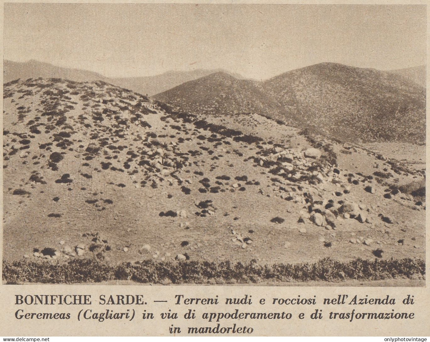 Terreni Nell'Azienda Di Geremeas (CA) In Via Di Bonifica - 1936 Stampa - Stiche & Gravuren
