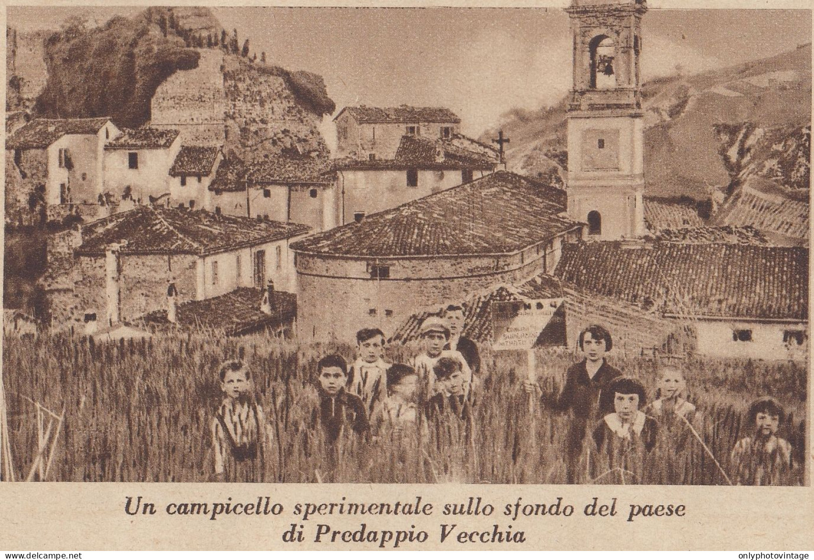 Campicello Sperimentale Su Sfondo Paese Predappio Vecchia - 1934 Stampa - Prints & Engravings