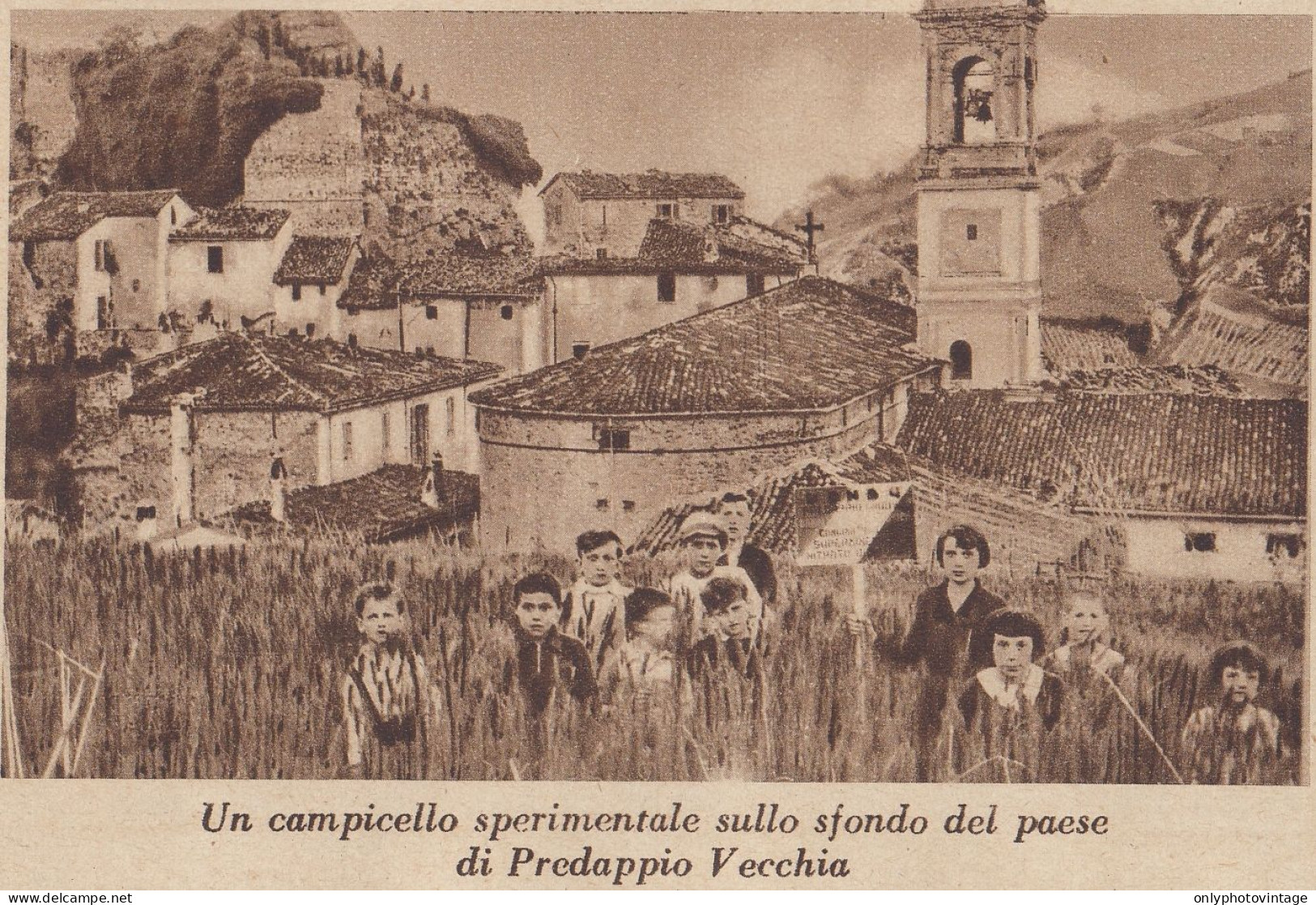 Campicello Sperimentale Su Sfondo Paese Predappio Vecchia - 1934 Stampa - Stiche & Gravuren