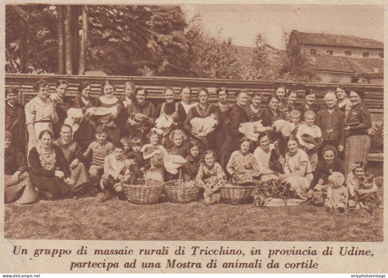 Un Gruppo Di Massaie Rurali Di Tricchino (UD) - 1938 Stampa Epoca - Print - Stiche & Gravuren