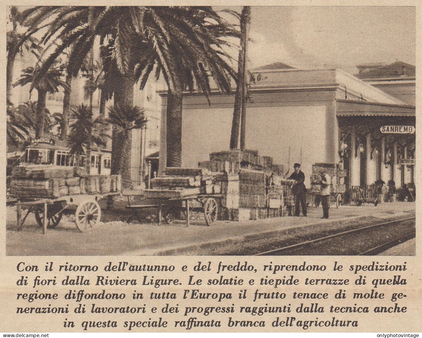 Stazione Ferroviaria Di Sanremo - Spedizione Fiori - 1935 Stampa - Print - Stiche & Gravuren