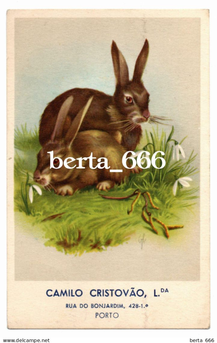 Postal Publicitário * Boas Festas * Camilo Cristovão * Porto * Circulado 1953 * Coelhos * Rabbits - Porto