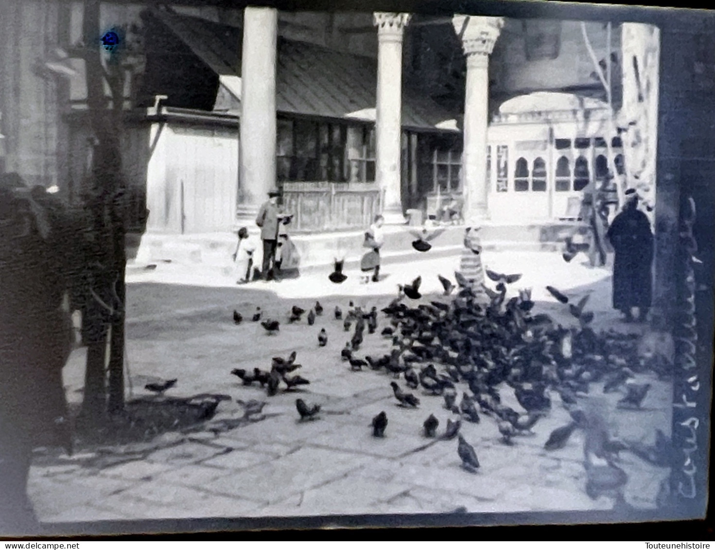 LOT Photographies Istanbul Négatifs Turquie Constantinople Bosphore 1909 - Places