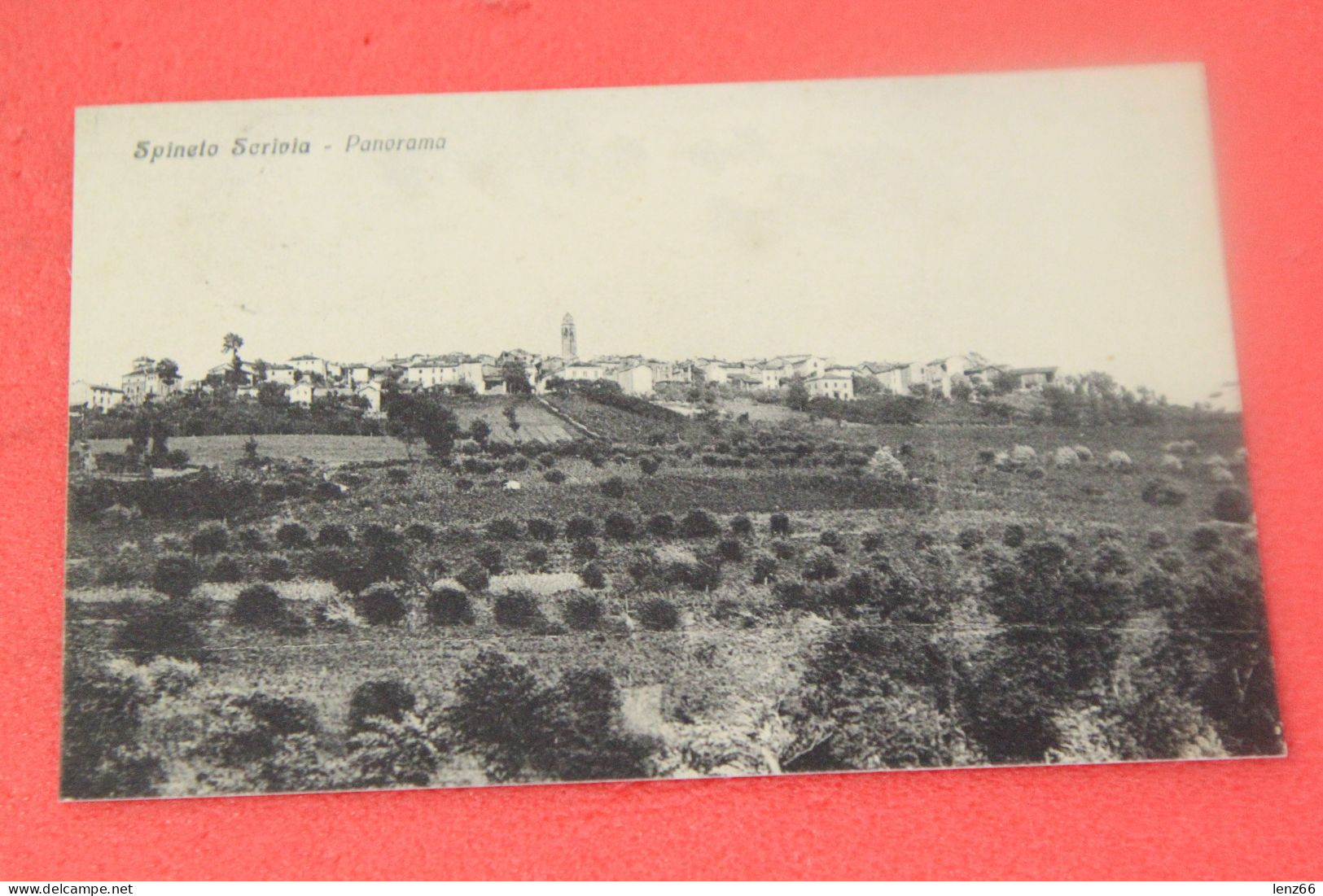 Alessandria Spineto Scrivia 1934 Ed. Ginocchio - Alessandria