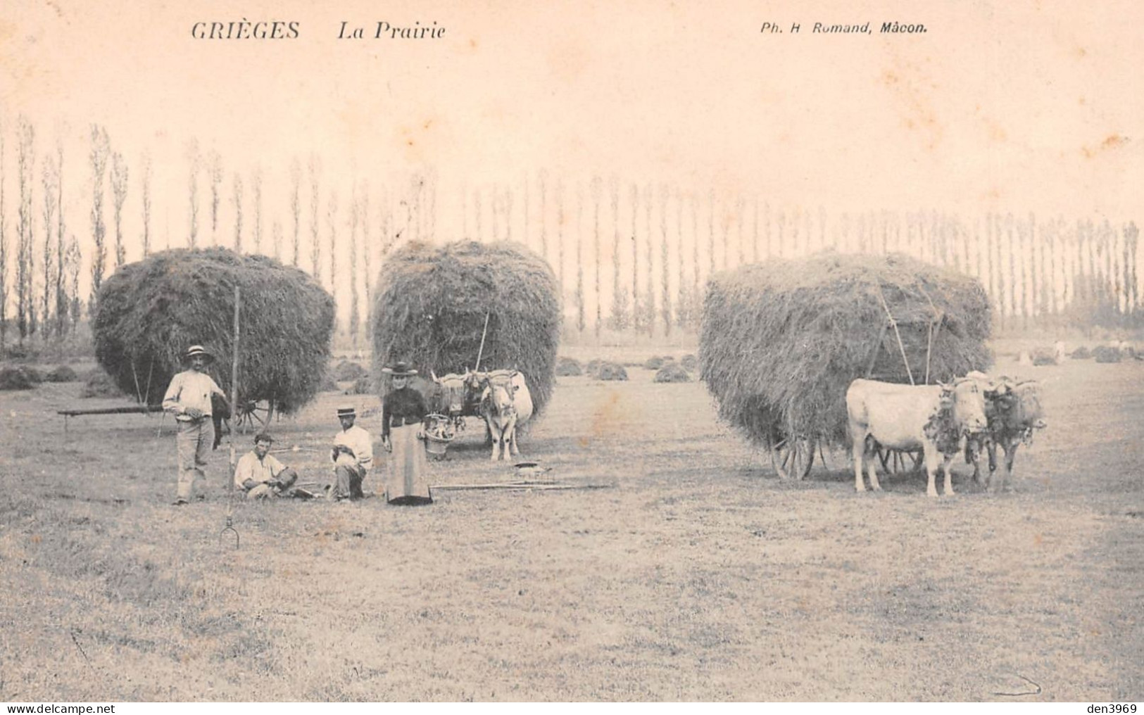 GRIEGES (Ain) - La Prairie - Attelages De Boeufs Tirant Une Charrette De Foin - Voyagé 190? (2 Scans) - Unclassified