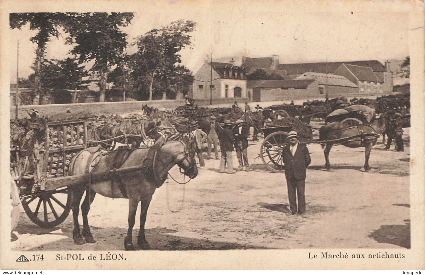 D8224 St Pol De Léon Le Marché Aux Artichauts - Saint-Pol-de-Léon