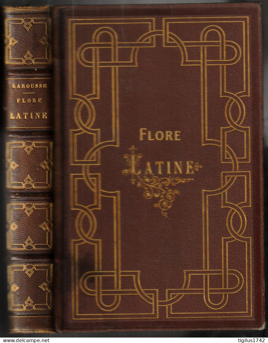M.P. Larousse. Flore Latine Des Dames Et Des Gens Du Monde, Préface Jules Janin, Larousse Et Boyer, Paris, Fin XIX ème - 1801-1900