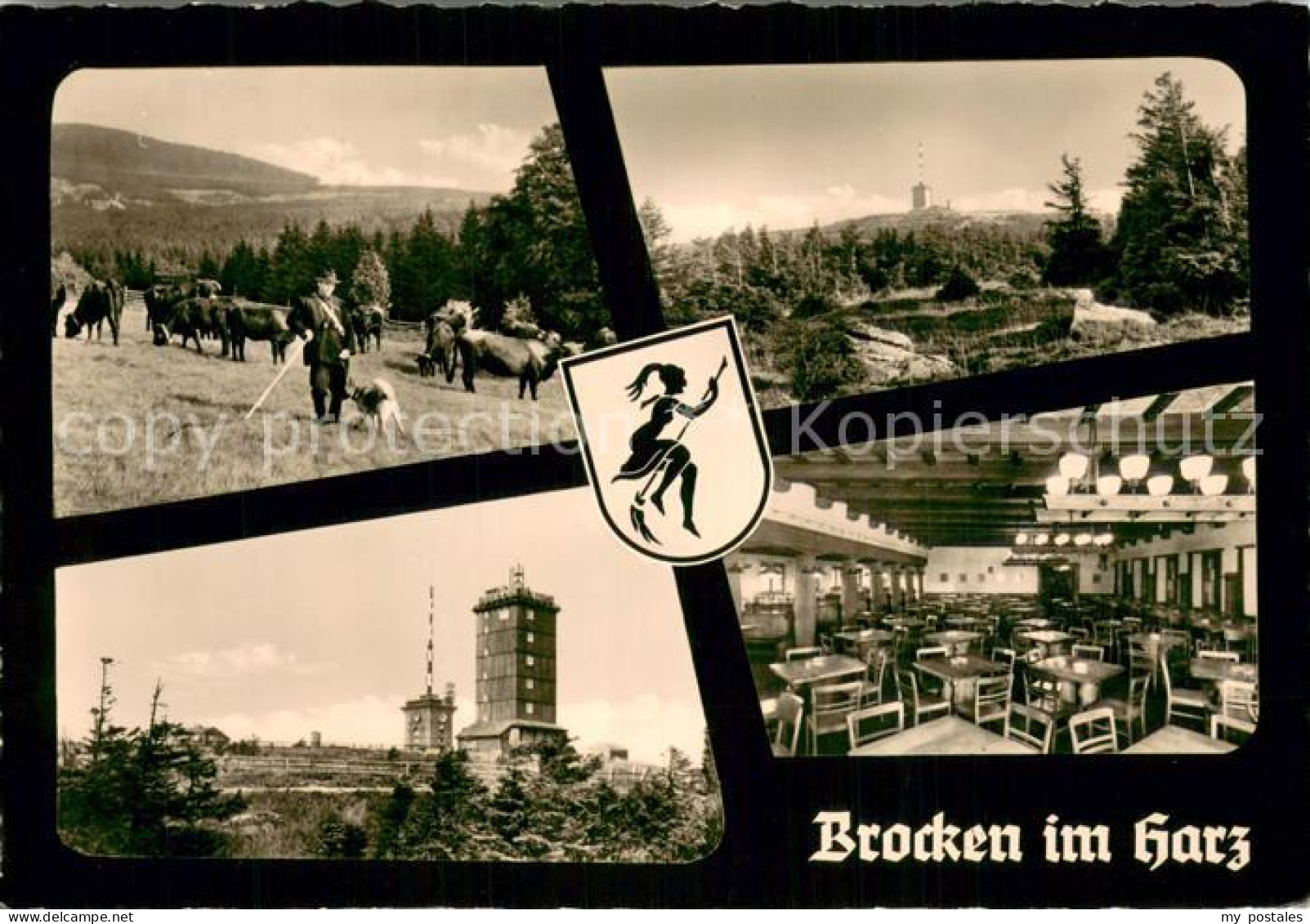 73751056 Brocken Harz Schaefer Mit Herde Brocken Hotel Gastraeume Brocken Harz - Wernigerode