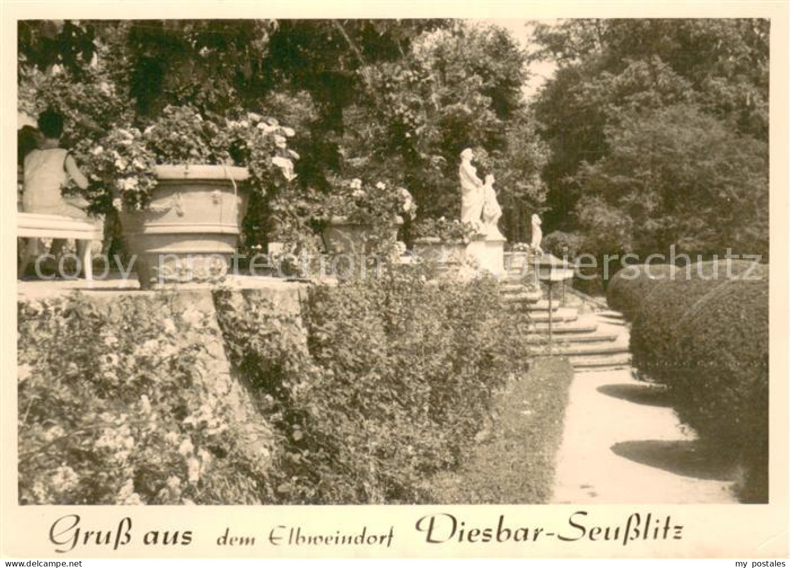 73750941 Diesbar-Seusslitz Park Diesbar-Seusslitz - Diesbar-Seusslitz